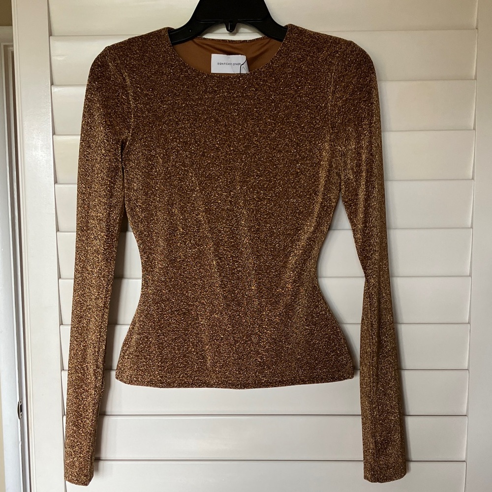 Elegant Bronze metallic Long Sleeve Top